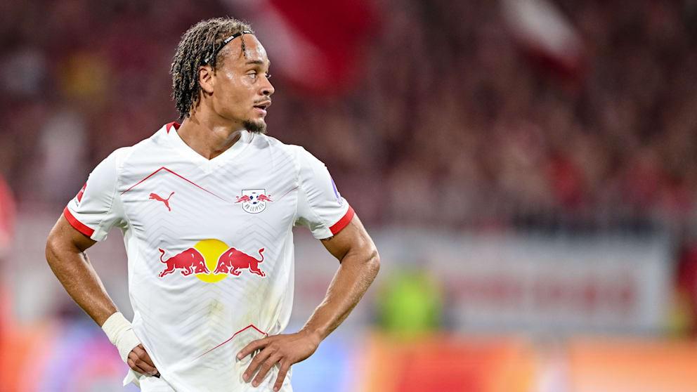 这位荷兰球, 几周以来, fig